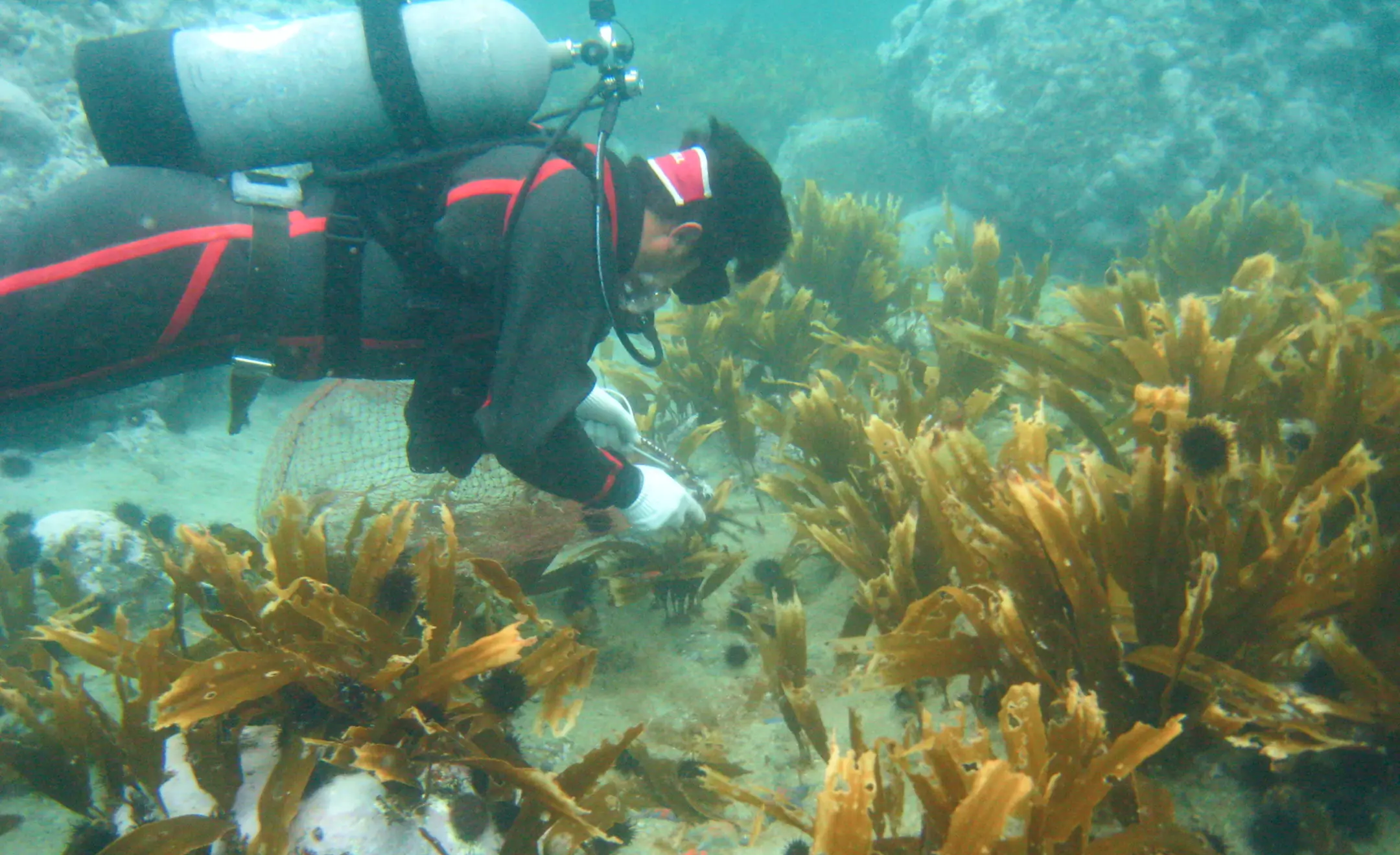 北海道沿岸海域エリア
